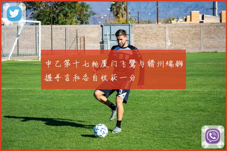 中乙第十七轮厦门飞鹭与赣州瑞狮握手言和各自收获一分